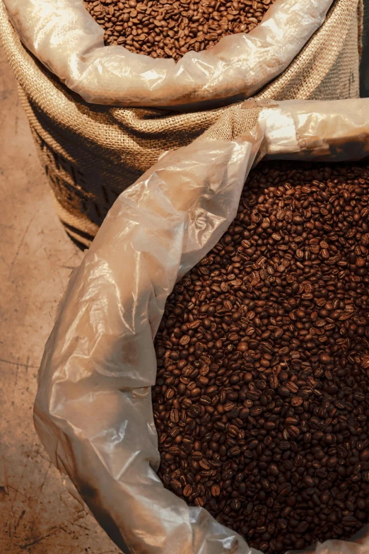 bags filled with coffee beans sitting on the ground