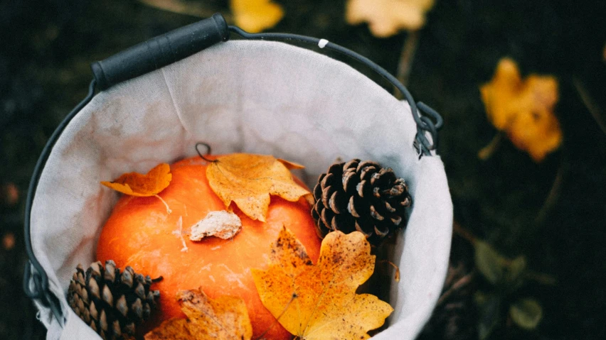 an orange sitting in a bucket surrounded by leaves and pine cones