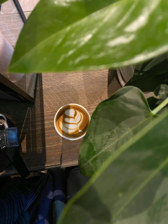 a cappuccino sits on top of a table