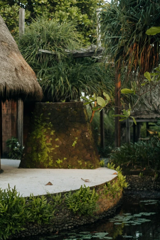 the outside of a tropical house with trees