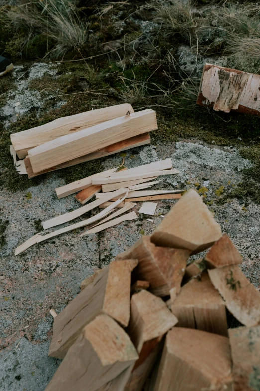 pile of wooden planks and wood shavings near a forest