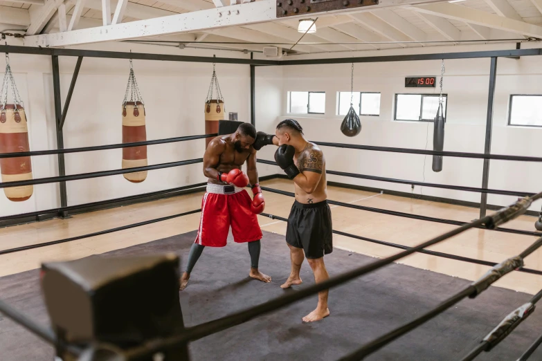 two boxers in boxing gloves and shorts are training in a boxing gym