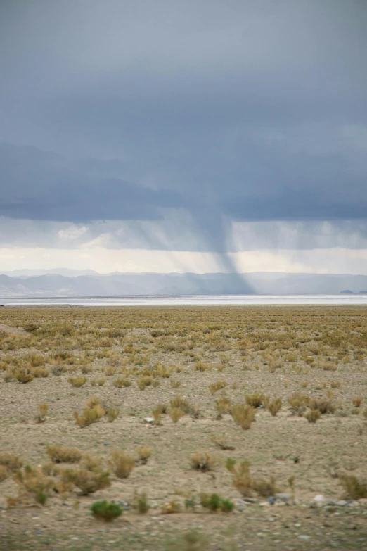 an open field with clouds in the background