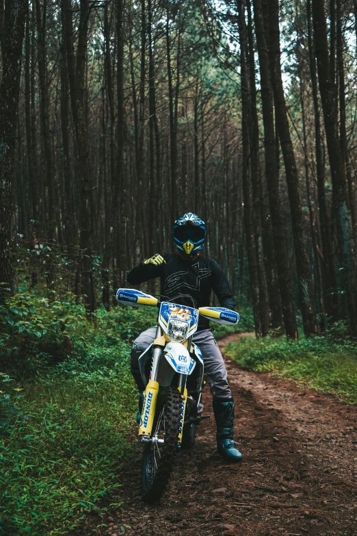 a person on a dirt bike parked in a forest