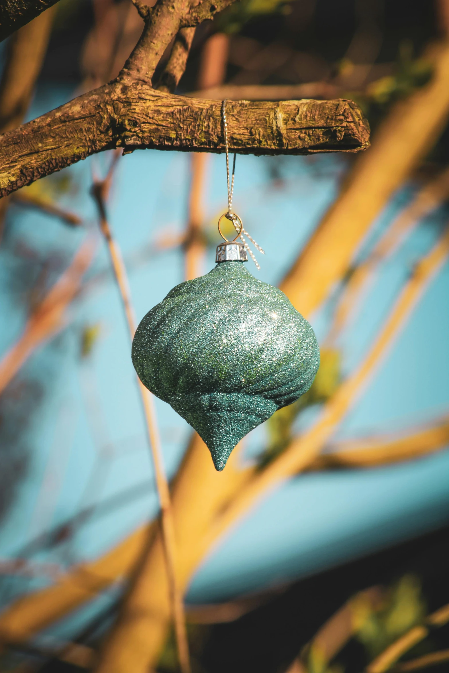 a hanging ornament attached to a tree nch