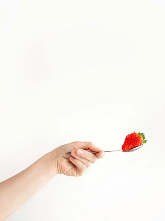 hand holding small piece of fruit up against white backdrop