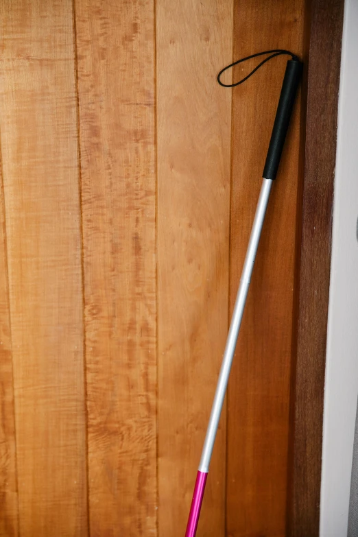 a broom, and dustpan leaning against a door