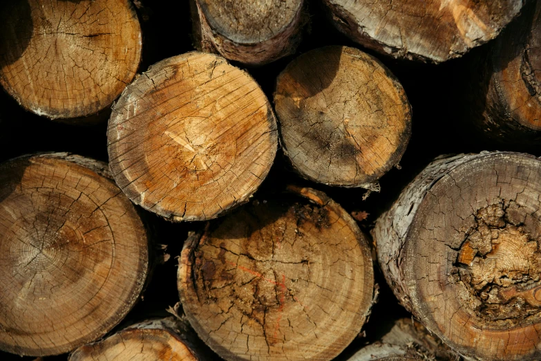 a closeup s of a bunch of logs