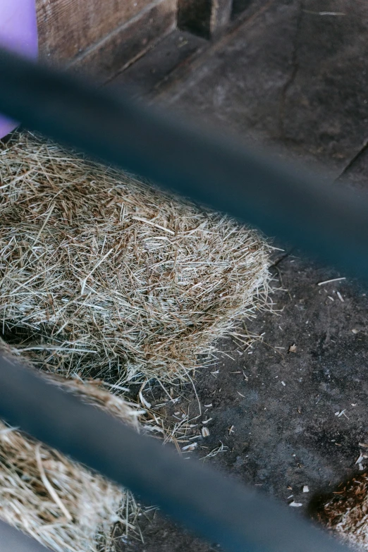 a piece of hay sitting on top of a pile of dirt