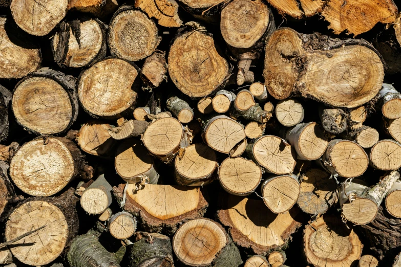 some cut tree trunks piled together with other wood pieces on them