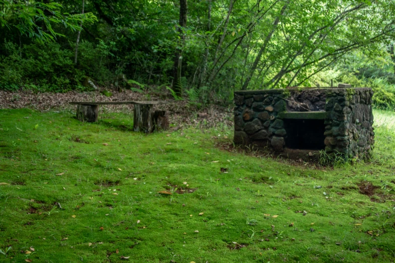 two benches and a firepit in a grassy area