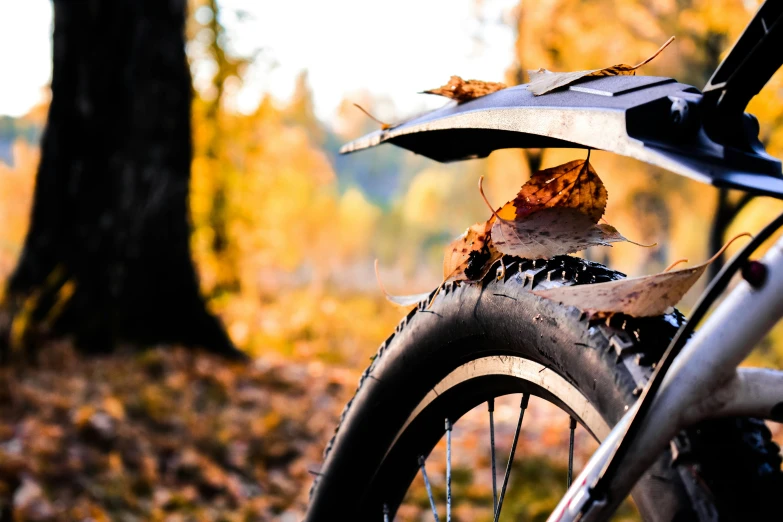 a bicycle parked next to a forest with some leaves on the seat