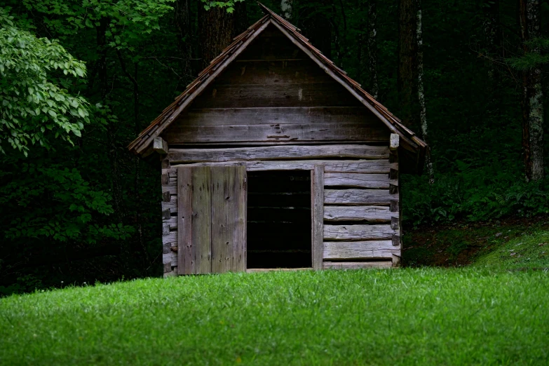 the shed is old and there are some grass growing outside