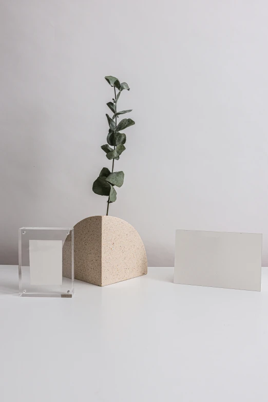 a white vase sitting on top of a table next to a plant