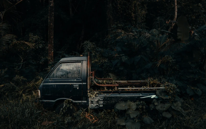 an old black van parked in a clearing of trees