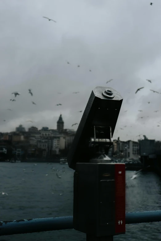 the view from behind a stop light with birds flying over it