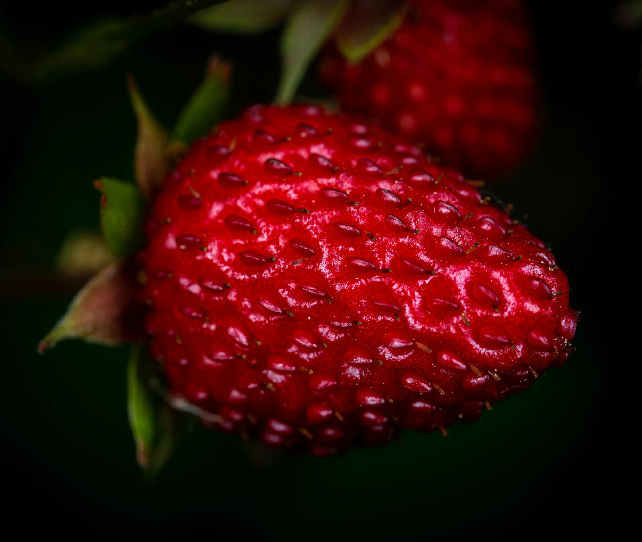 a bunch of red fruits sitting next to each other