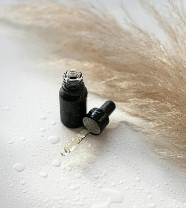 a bottle of ink sitting on top of a feather