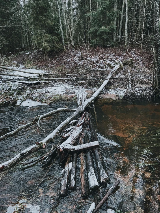 many pieces of wood laying on a patch of muddy water