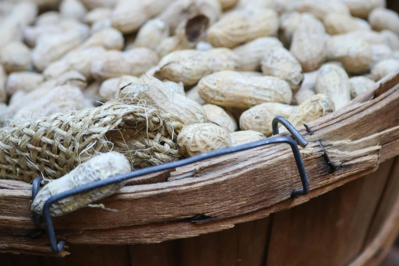 some peanuts sit in the basket together on a table