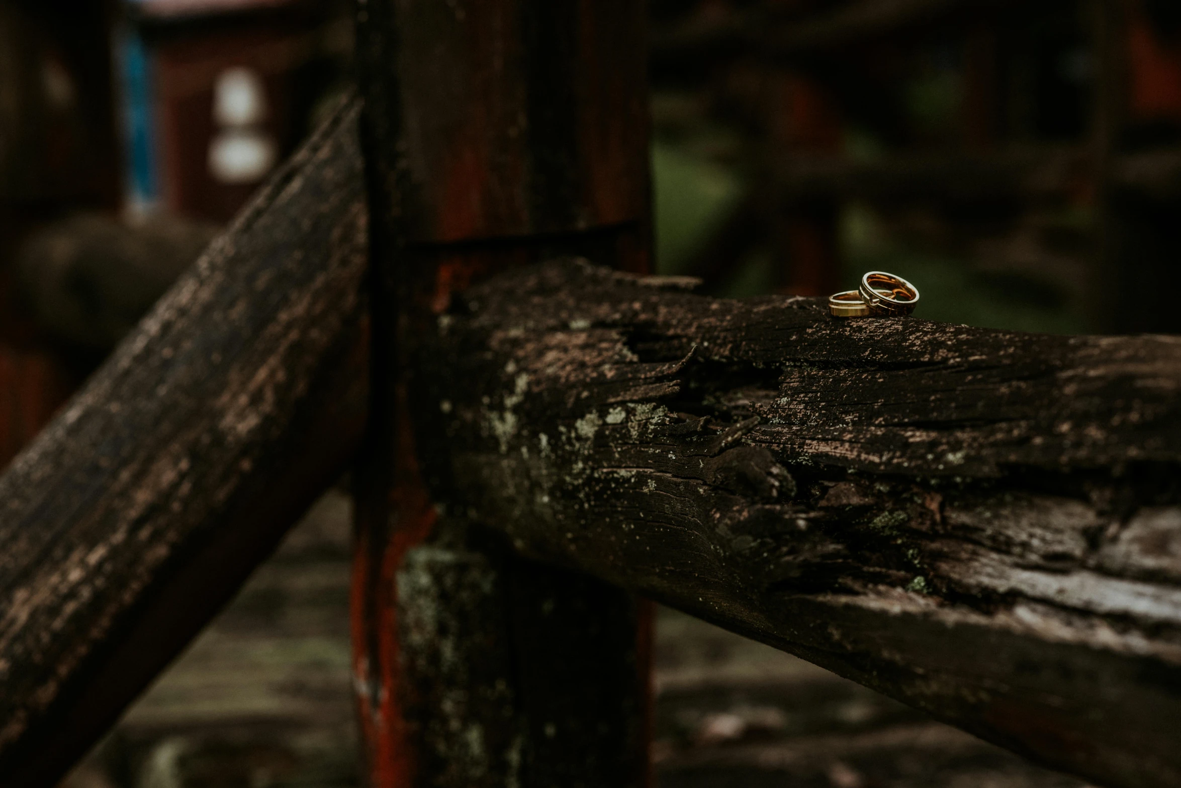 the ring has been placed on the wood