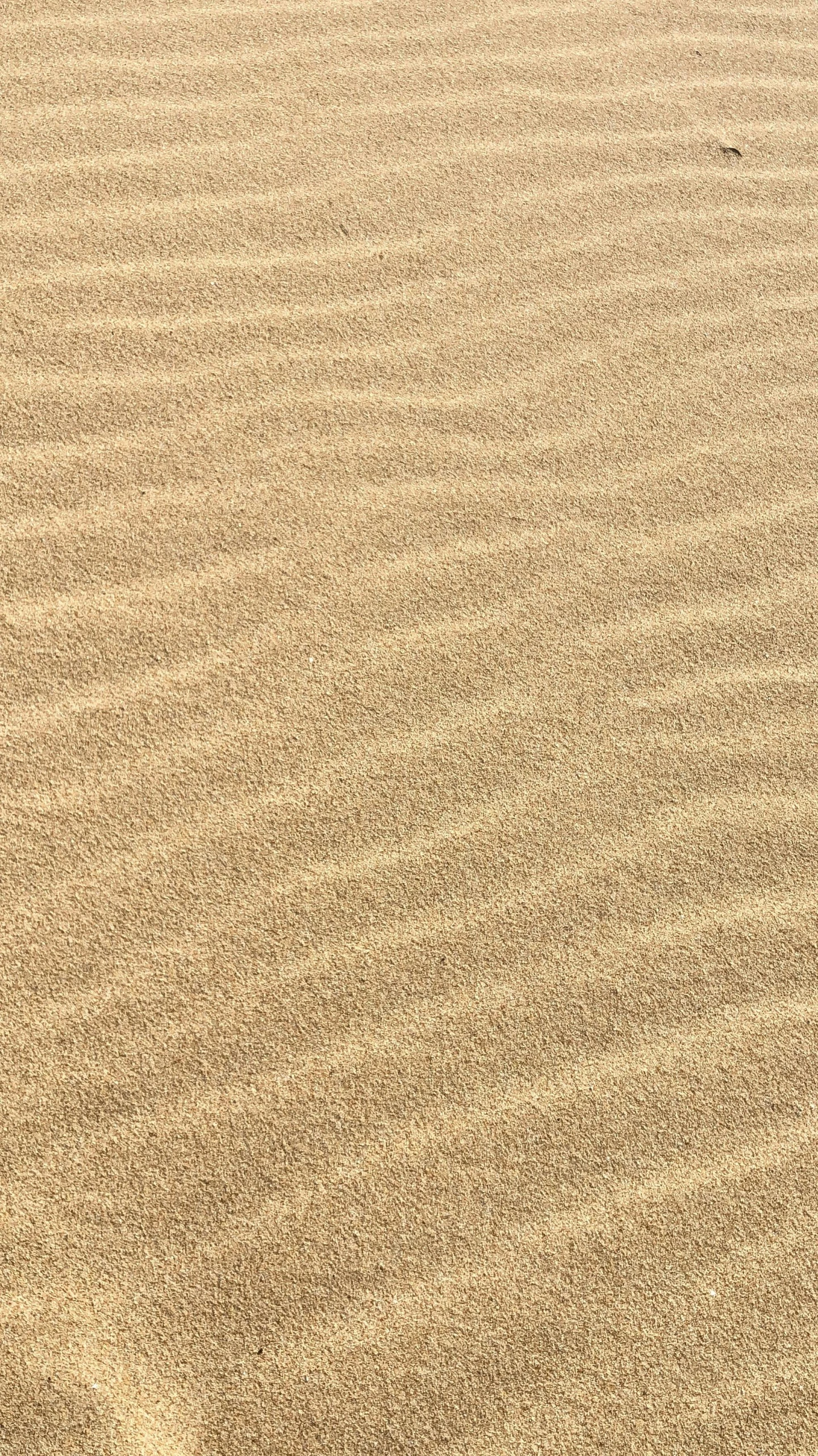 a yellow frisbee with two other items in the sand