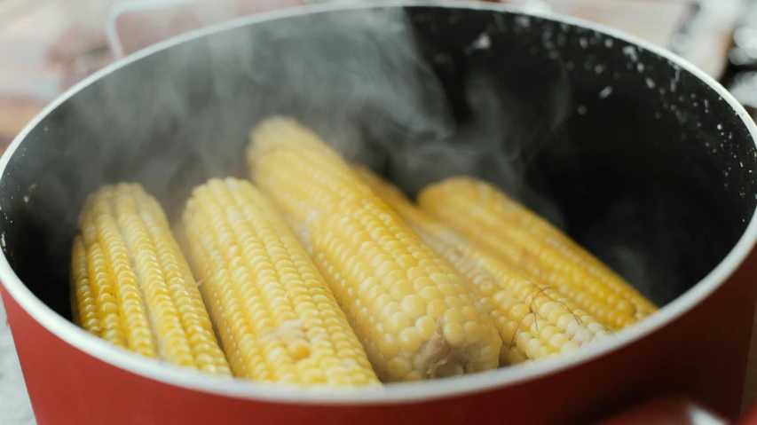 some corn in a pot on the stove