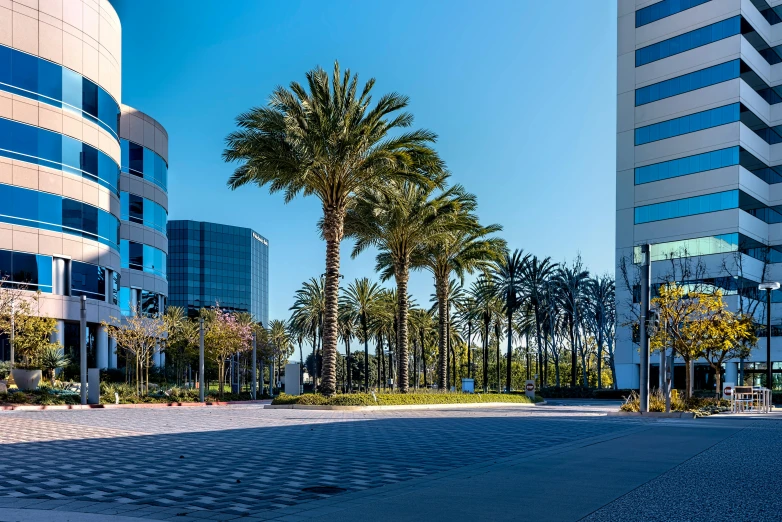 a bunch of tall buildings sit beside a street