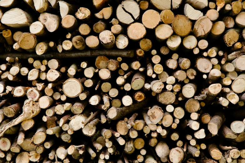 a number of logs of various sizes