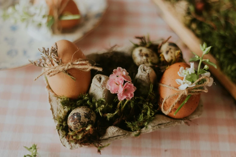 eggs are arranged in small terracotti containers