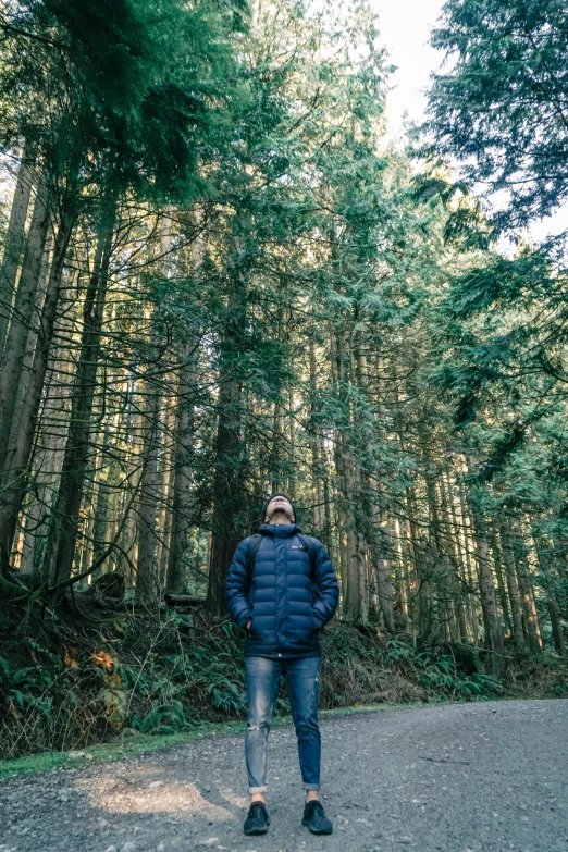 a person standing on the road in front of tall trees