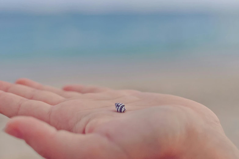 a hand holding an animal ring in front of the ocean