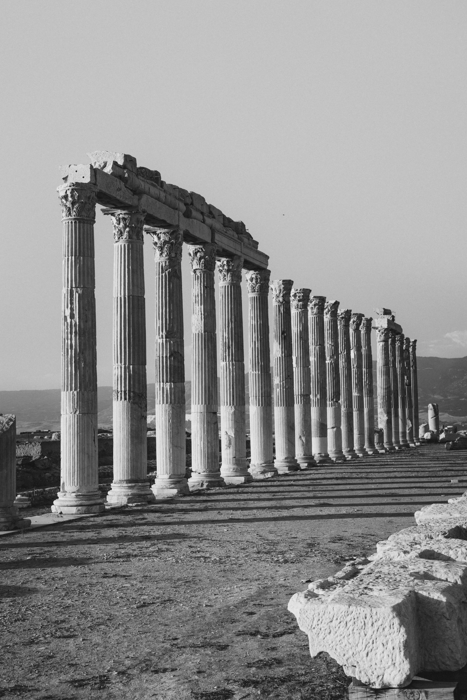 columns are lined up along a stone path