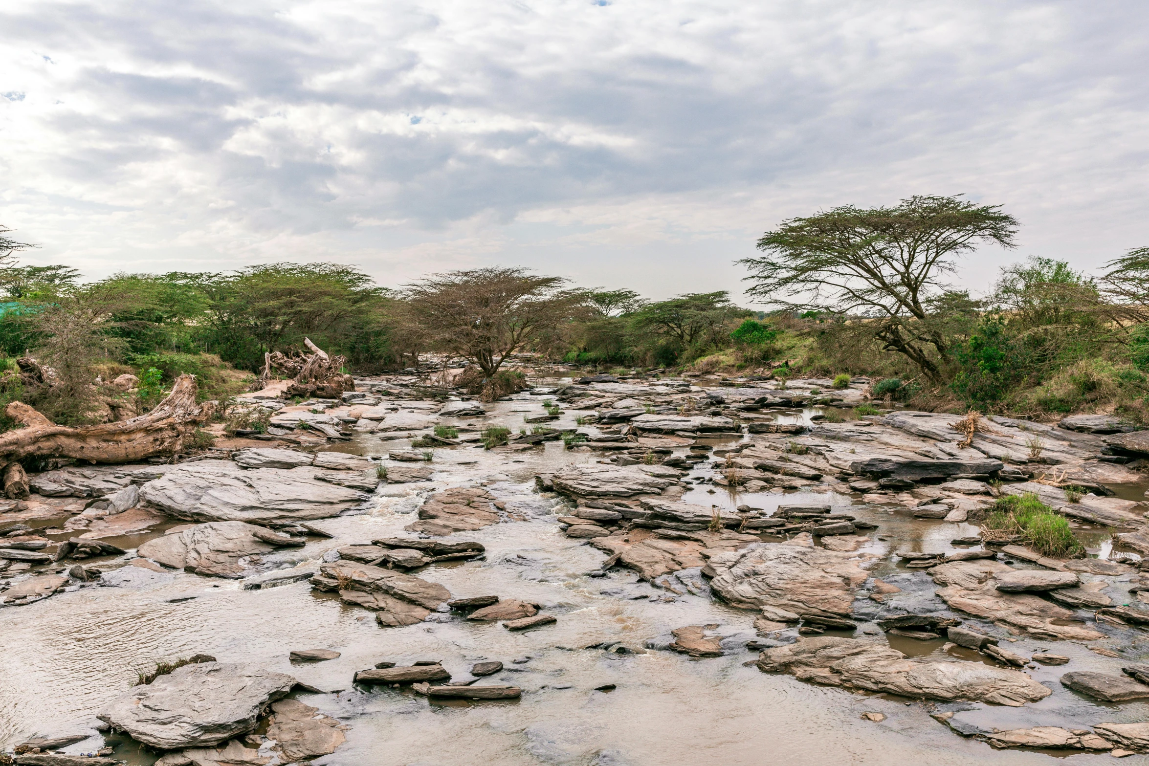 the river is littered with rocks and water