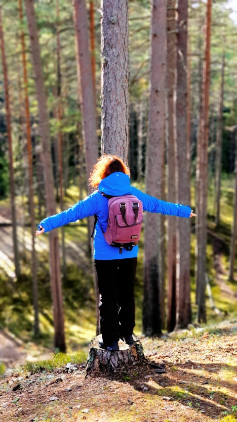 a  standing on top of a log in the forest