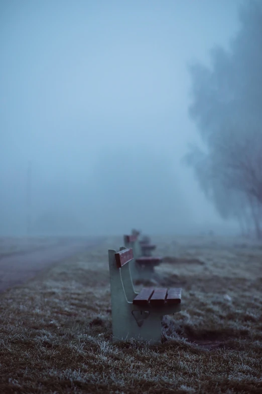 four benches in the fog and grass by the road