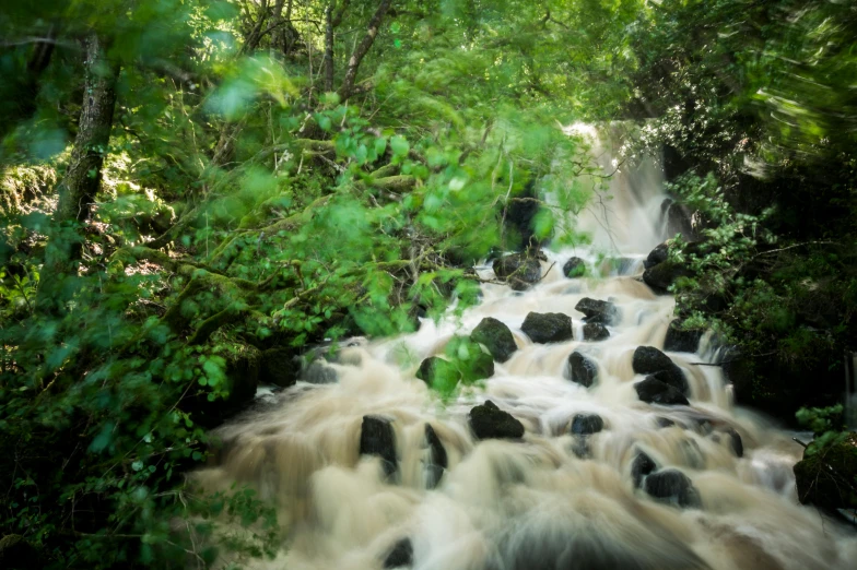 a large water fall surrounded by trees