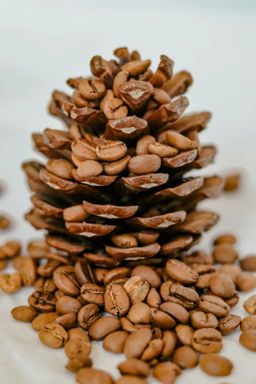 a cone of coffee beans sitting on a white surface