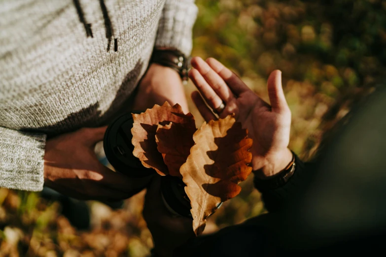 a person that is holding some leaves in hand