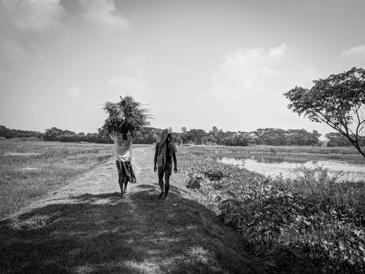 a man carrying trees walks through the grass