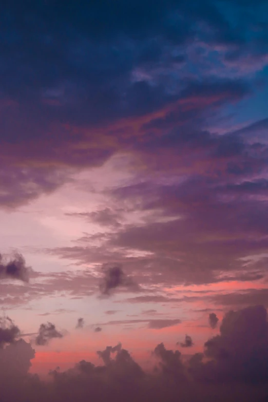 a bird sitting on a ledge against the purple and pink sky