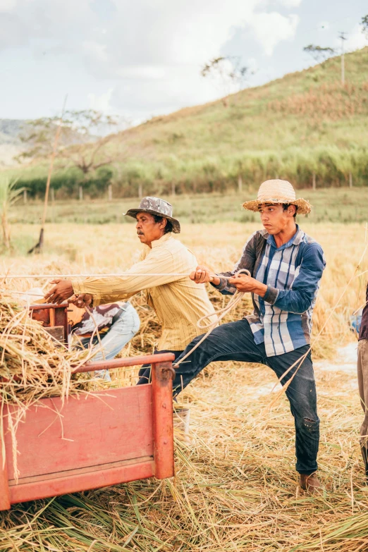 an old man pulling a cart full of hay with two men standing near by