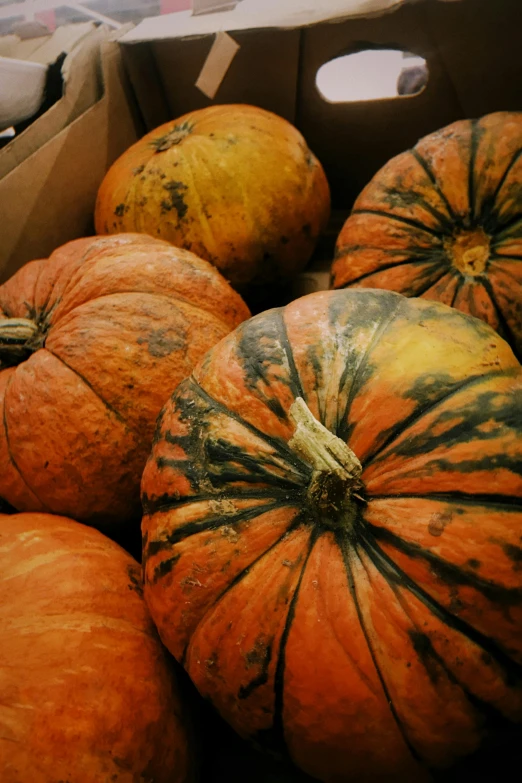 some very pretty ripe pumpkins piled on top of each other