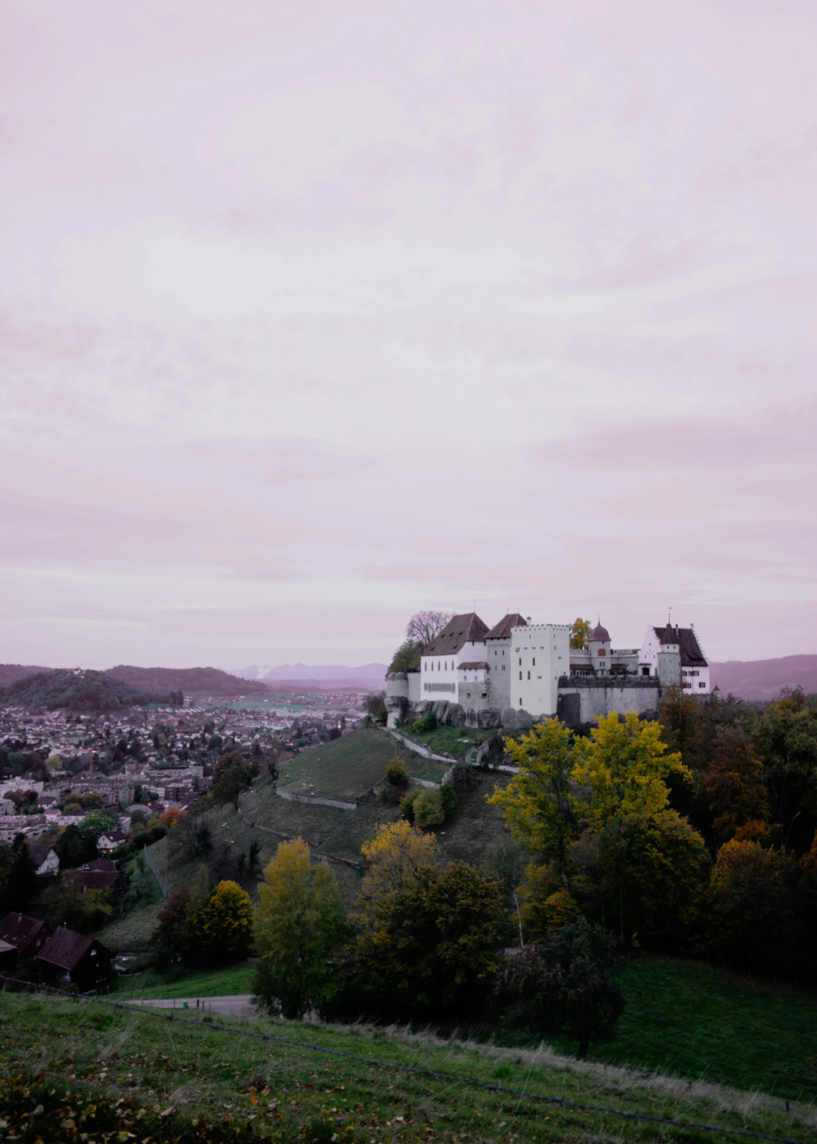 a white house on top of a hill with trees