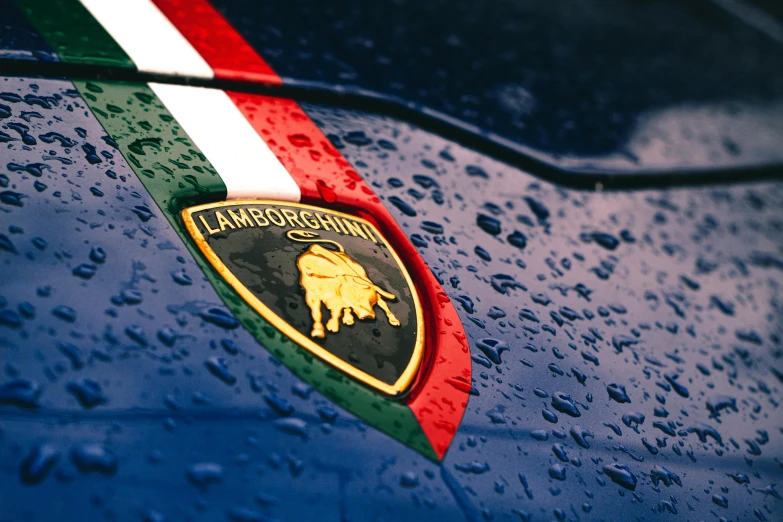 an emblem on a porsche vehicle covered in rain