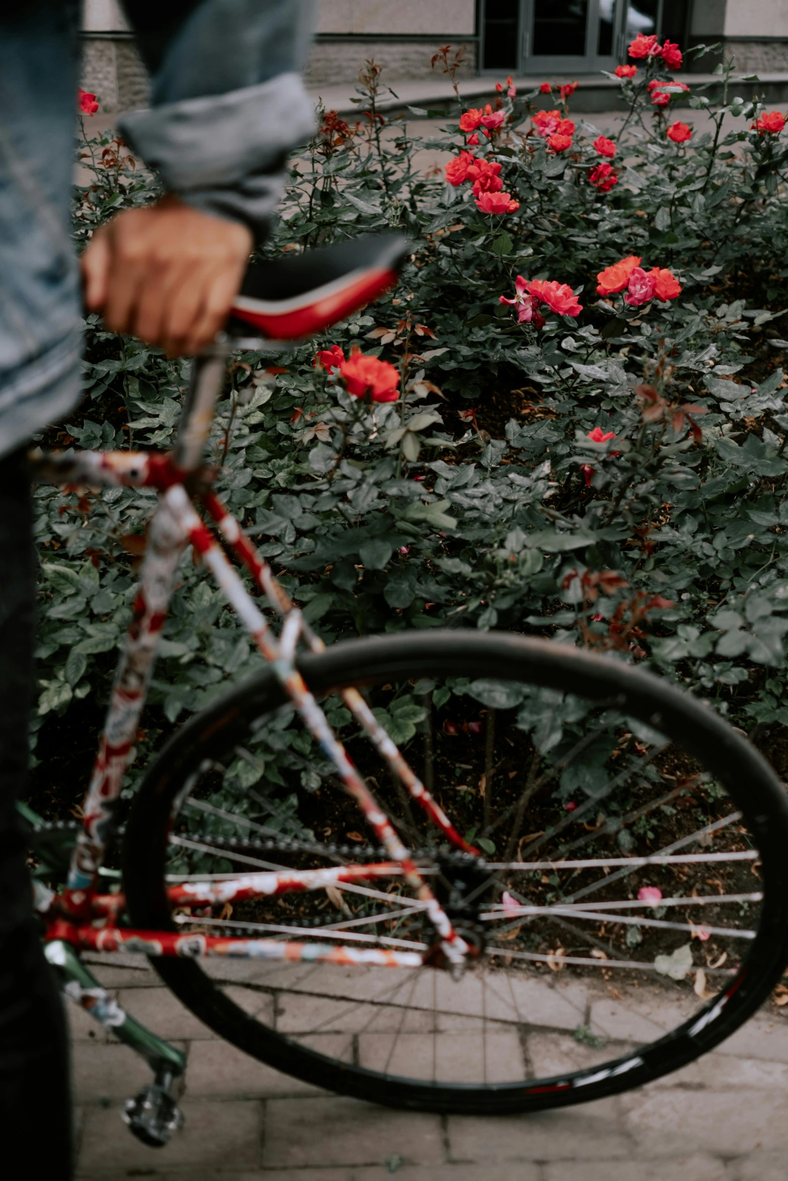 a person walking a bicycle past some bushes