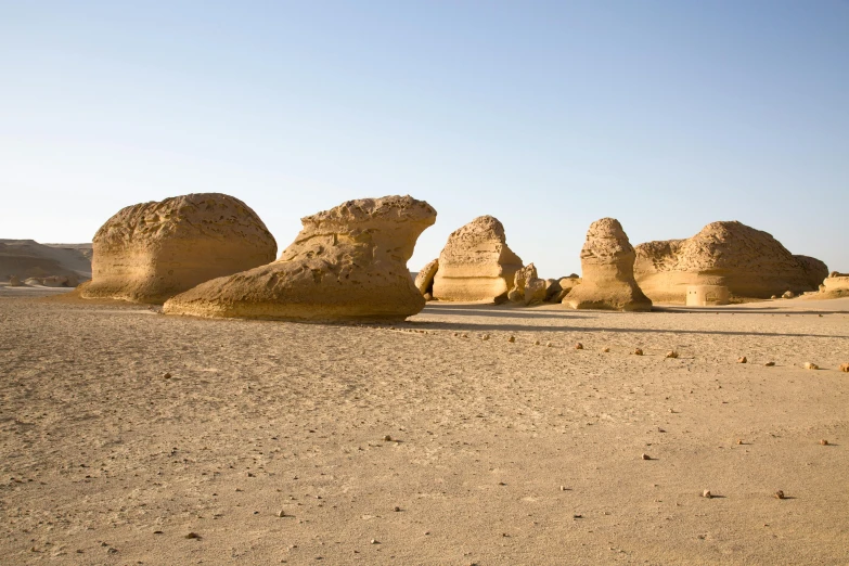 some large rocks with small trees growing in it