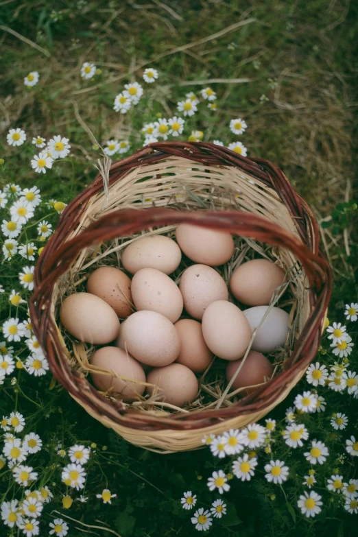 some chicken eggs that have taken from a basket