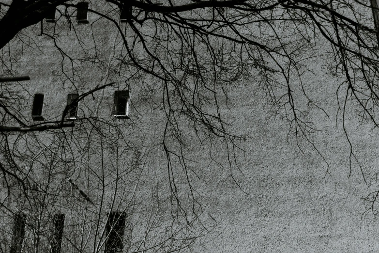 a clock sitting on the side of a building under tall trees