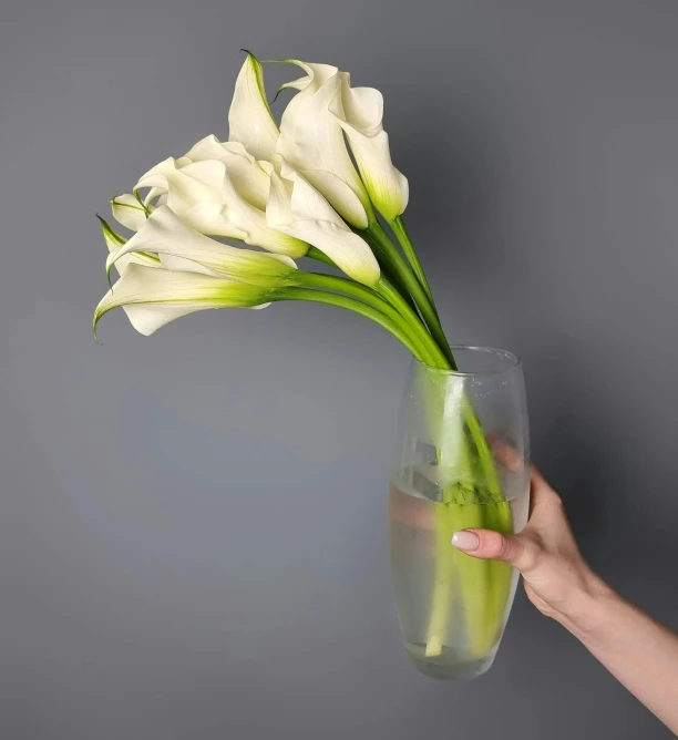 someone is holding a vase with white flowers inside